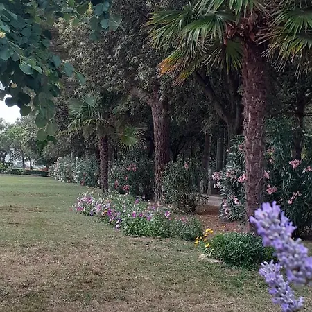 Bed & Breakfast Silos Torrenova
